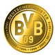 BVBCoin logo