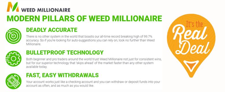 Weed Millionaire Scam – eller The Real Deal?
